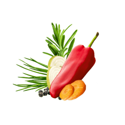 Paprika, Rosmarin, Zwiebelscheiben, Karottenscheiben, Pfeffer und Schnittlauch