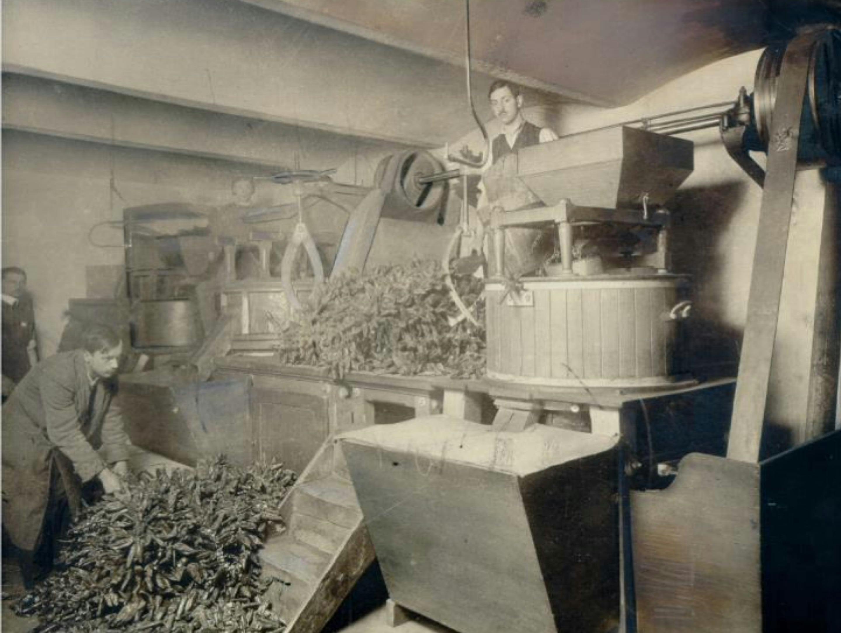 Crno-bela fotografija: Kotányi mlin za začinsku papriku iz 1881. godine